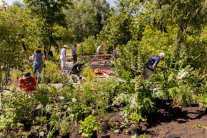 Volunteers Chelsea Flower Show Garden